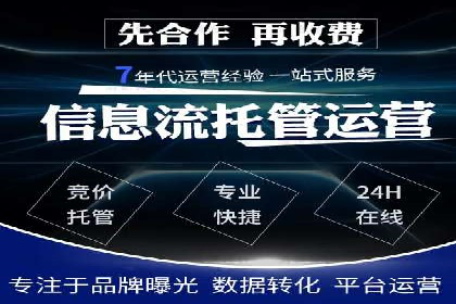 SEO百度推广策略：成功案例解析